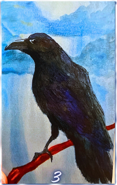 Stormwalker Medicine card 3 featuring a crow
