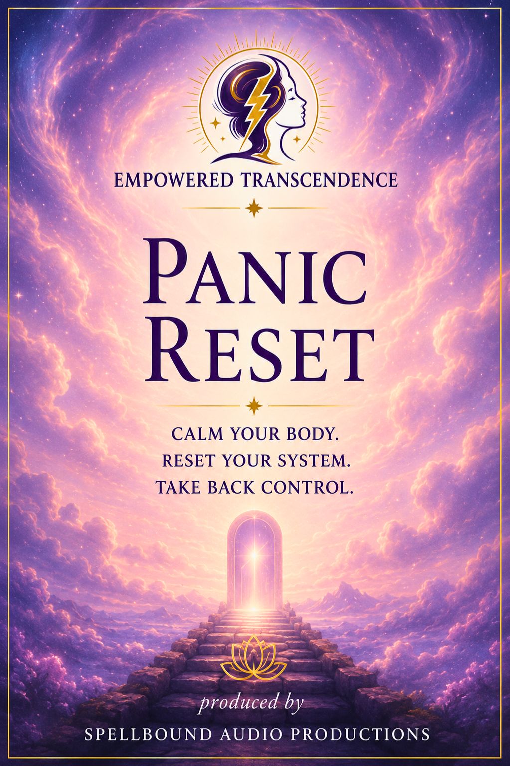 Panic Reset — cover art